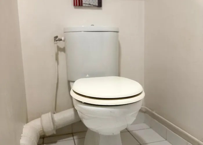 Singer Tour Eiffel La Muette 아파트 *