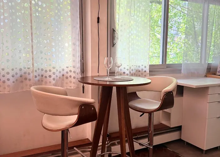 Singer Tour Eiffel La Muette 파리